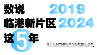 數(shù)說｜臨港新片區(qū)這5年