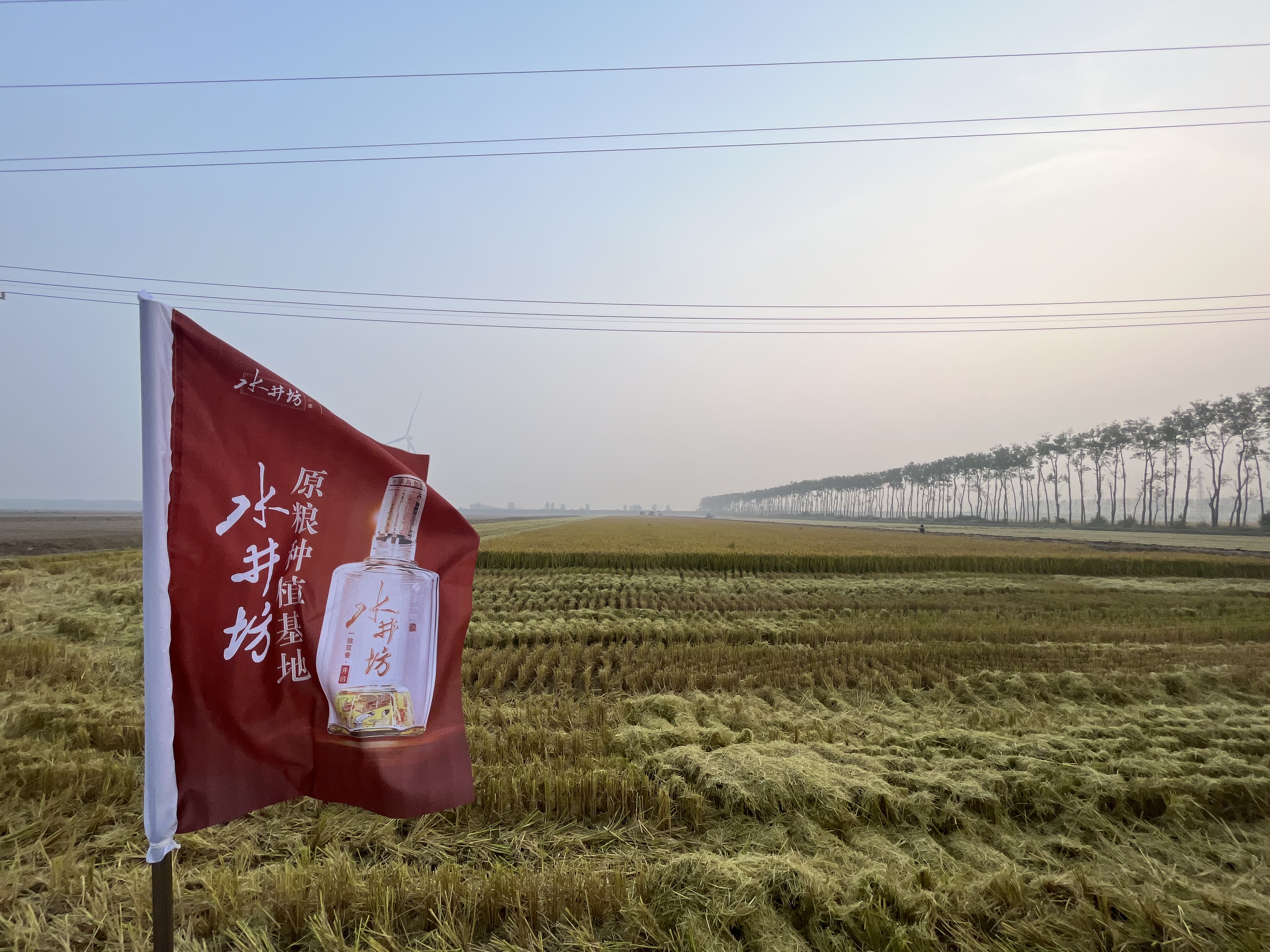 ESG领跑者｜水井坊首席公共关系事务官洪宗华：企业应从商业的本质角度谈可持续发展的价值