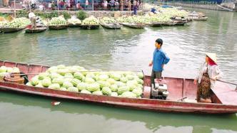 夜读丨夏夜里，那满载的西瓜船