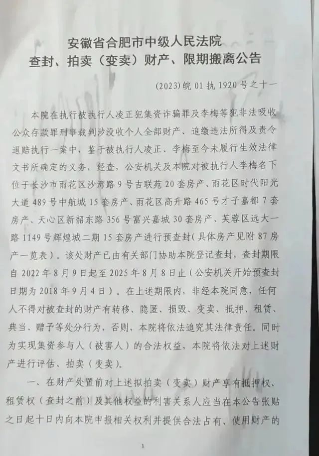 安徽一女子在长沙87套房产同时被拍卖：系非法集资案主犯