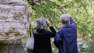 网友呼吁下调景区门票老人免费年龄，陕西：人数众多，将进一步研究