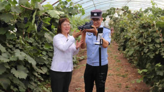 边疆党旗红丨旅游小城满洲里，如何通过种水果稳边富民