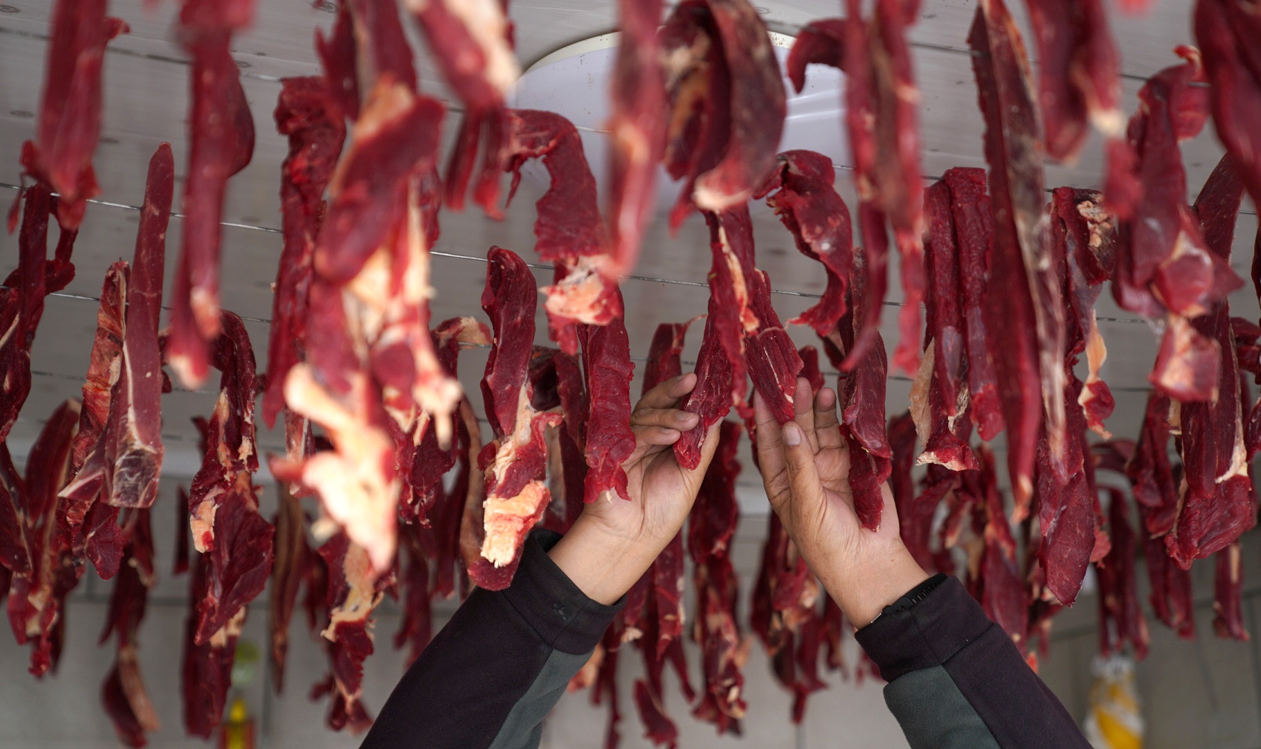 食用城市｜同为生食肉，待遇大不同