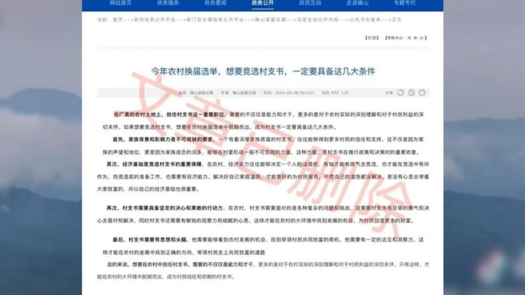 河南确山通报“竞选村支书要有家族背景”：工作人员擅自转载自媒体文章
