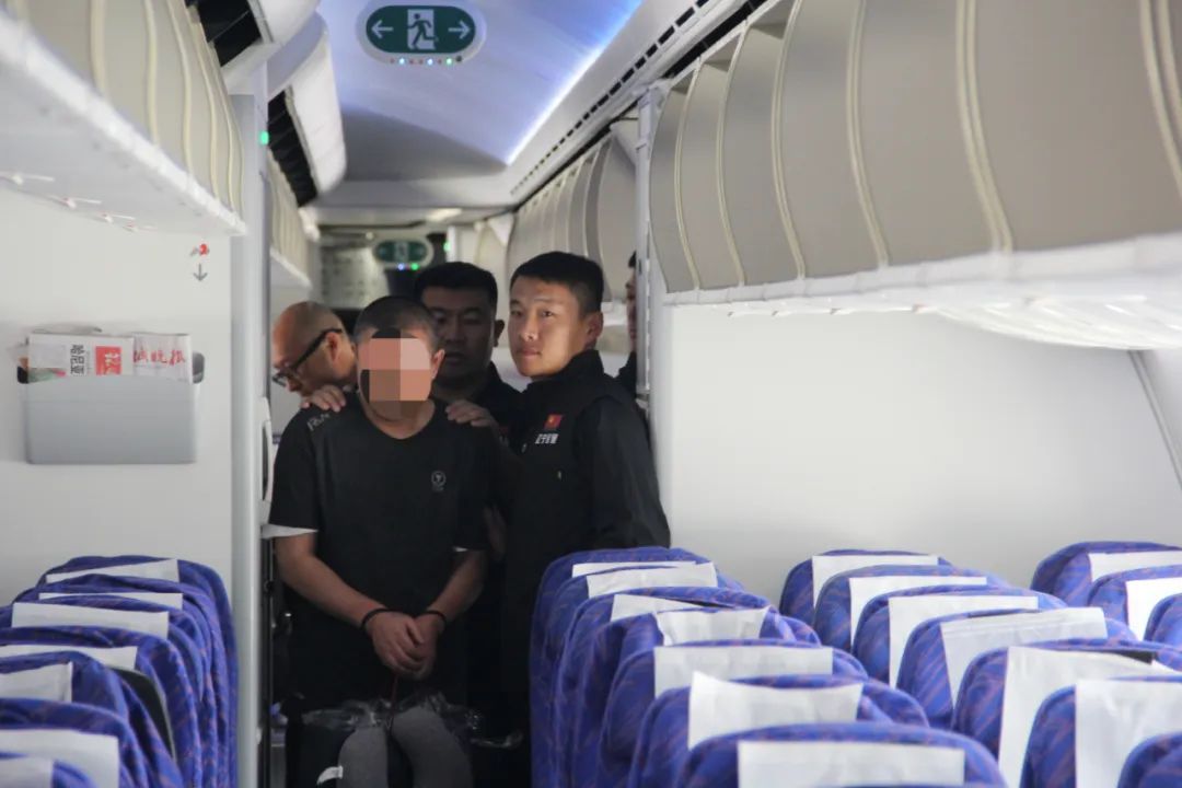 伙同他人集资诈骗200亿余元，一经济犯罪嫌疑人被遣返回国