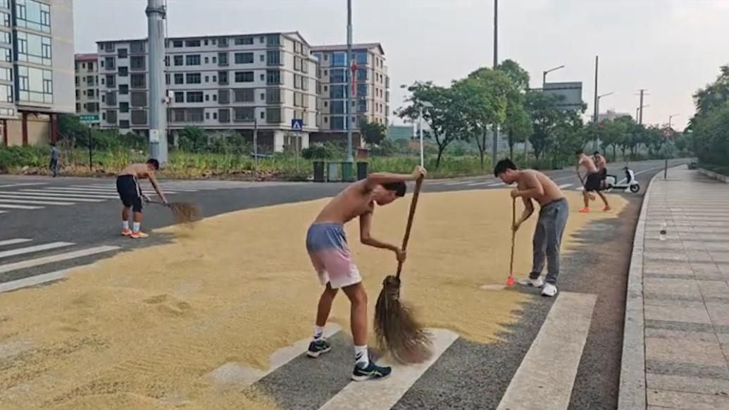 高二体育生体能拉练时突遇下雨，帮助农户奶奶抢收晾晒稻谷