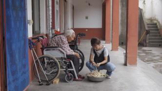 太枣村，农村养老困境的现实一种