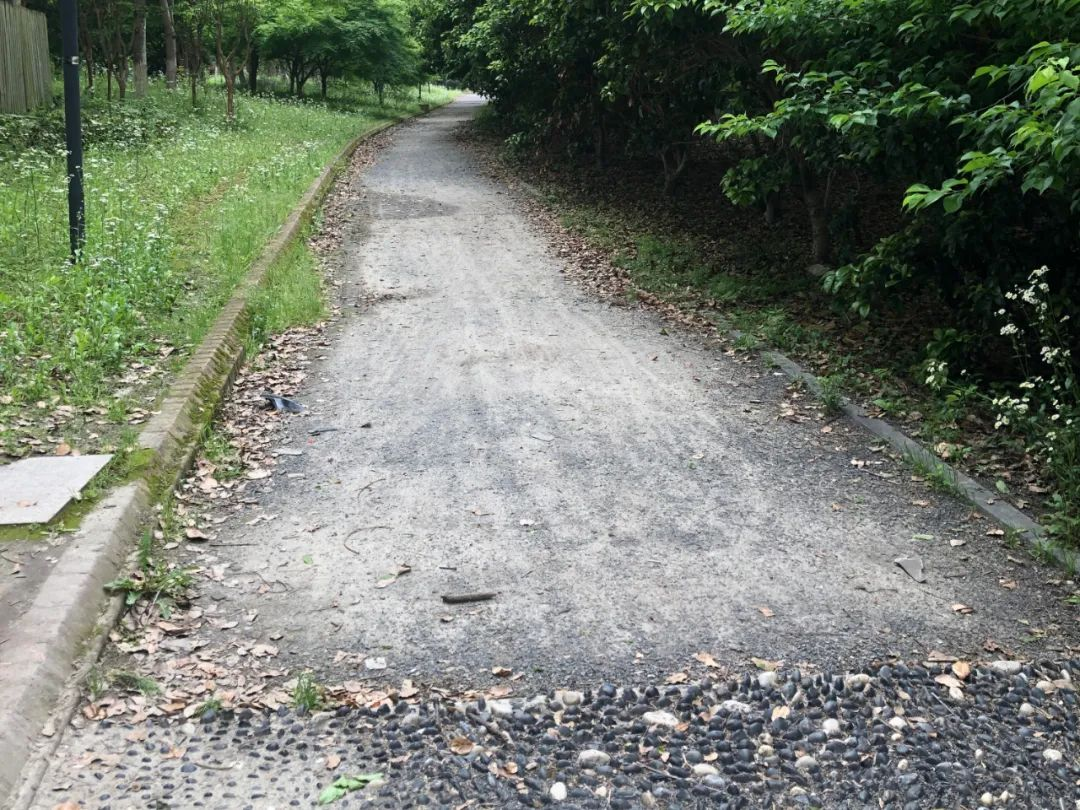 石子小路泥土层裸露易积水，居民“家门口”出行如何更舒心？