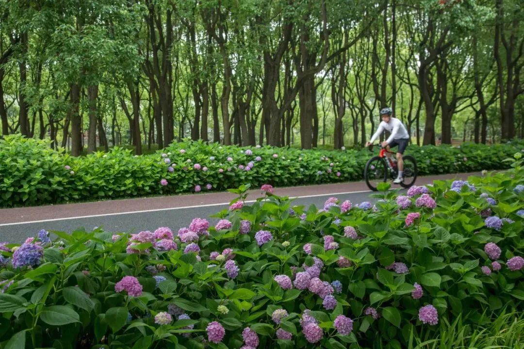 在上海长宁，被夏日治愈的这些美好瞬间