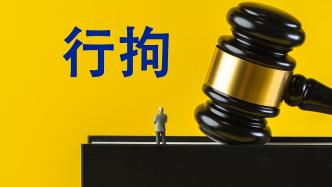 孩子在学校被同学欺负，家长处理不当、违反治安被行政拘留十日