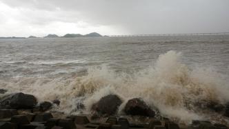 超強臺風“摩羯”即將登陸，水利部系統部署臺風暴雨洪水防御