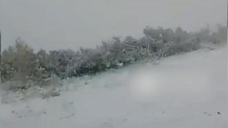 大兴安岭迎今秋首场降雪