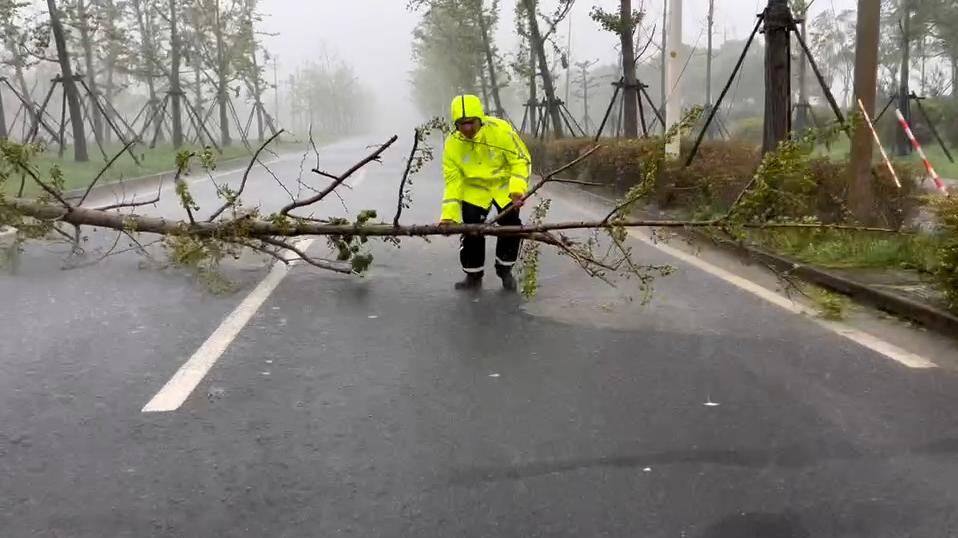 记者直击贝碧嘉｜民警执勤路中遇树木倒伏，大雨中下车搬离