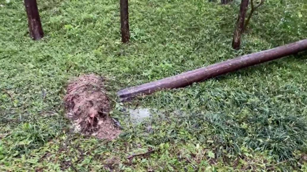 臺風“貝碧嘉”登陸上海,民警通宵清障