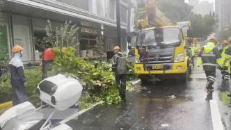 全力應對｜樹木倒伏、雨水管道口堵塞，他們在一線應急搶險