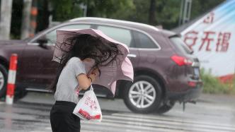 “貝碧嘉”已遠，無錫免費停車繼續：方便市民修復受損車輛等