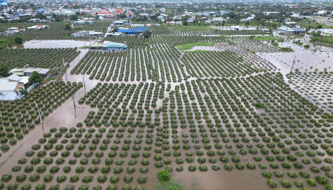 新加坡智库报告：东南亚民众对气变关注度下降，更关心粮食和生计