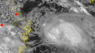 上海浦东、奉贤、崇明、金山四区升级发布台风黄色预警信号