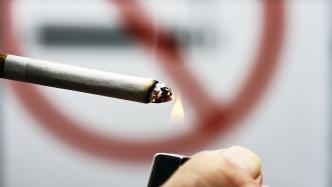 男子開車吸煙被交警罰200元提起上訴，法院為何支持處罰？