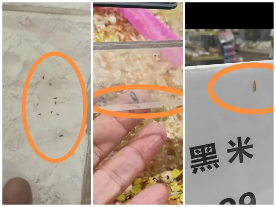 永辉超市天津一门店销售“生虫粮”，市监局：下架封存