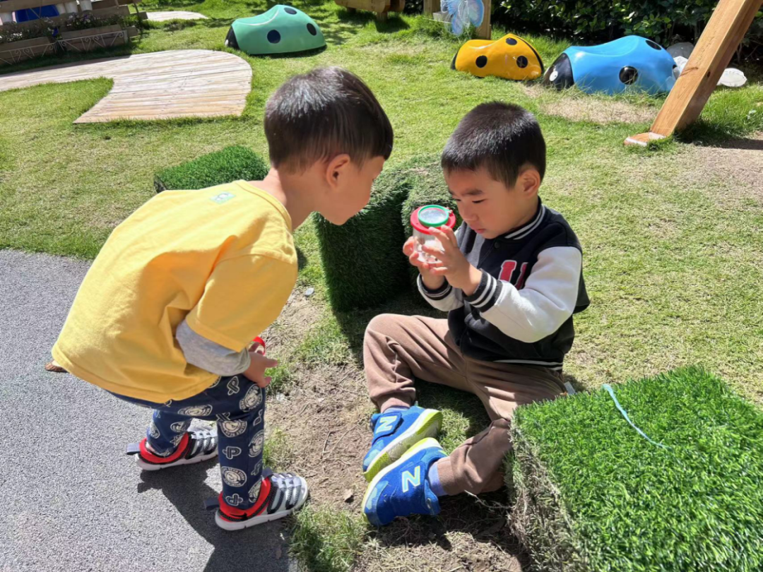 上海长宁这家幼儿园太酷了，孩子们自建的虫虫乐园“火”了  第1张