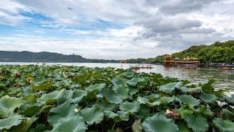 杭州文旅局答“网红推广文旅IP”建议：存在文化挖掘表面化，需加强引导