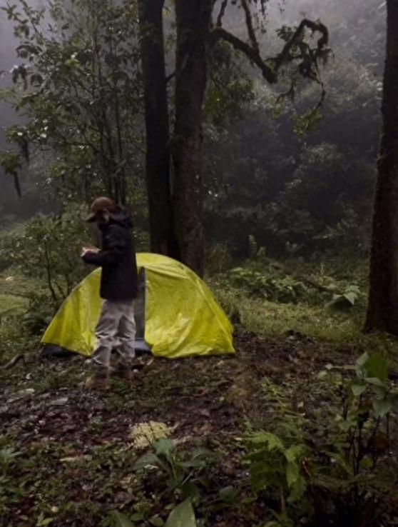 香港三期必开一码期期准:博主发视频称夜宿哀牢山2天1夜，当地管护局回应