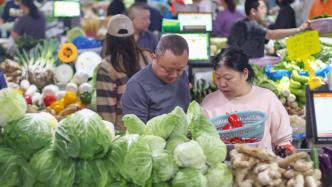 9月鲜菜价格同比涨22.9%引关注，目前多地菜价开始回落