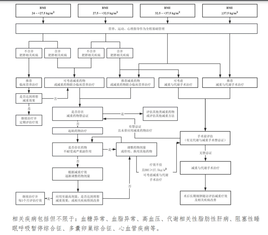 2024年香港今期开奖结果香2:国家级肥胖症诊疗指南来了，提醒GLP-1减肥药反弹风险