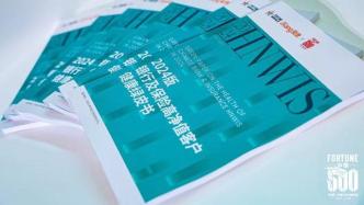 《财富》中国500强峰会重磅：《2024版银行及保险高净值客户健康绿皮书》发布