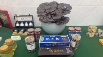 國家林草局：完善支持政策，提高森林食物供給能力