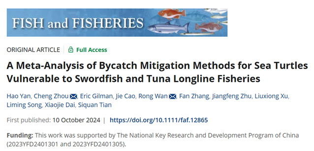 助力减少海龟误捕，上海海洋大学团队在渔业顶刊发表研究成果