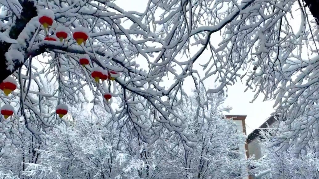 新疆阿勒泰部分地區迎來降雪天氣