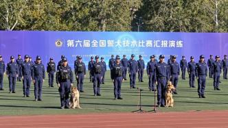 第六屆全國警犬技術比賽收官：持續加強警犬工作力量建設