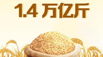 农业农村部：今年粮食产量预计将首次突破1.4万亿斤