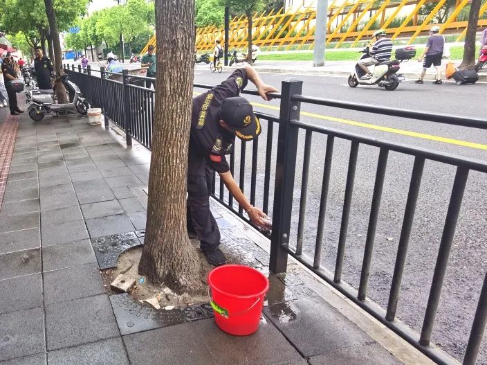 上海长宁这条年轻的小马路，整治后面貌大变样