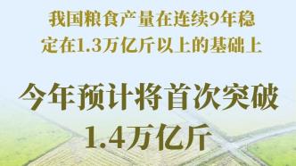 预计将首次突破1.4万亿斤！数据看“大国粮仓”的底气