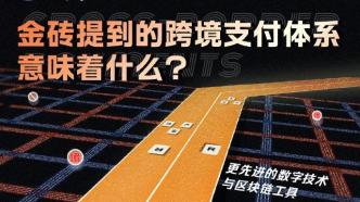 玉渊谭天丨金砖提到的跨境支付体系，意味着什么？