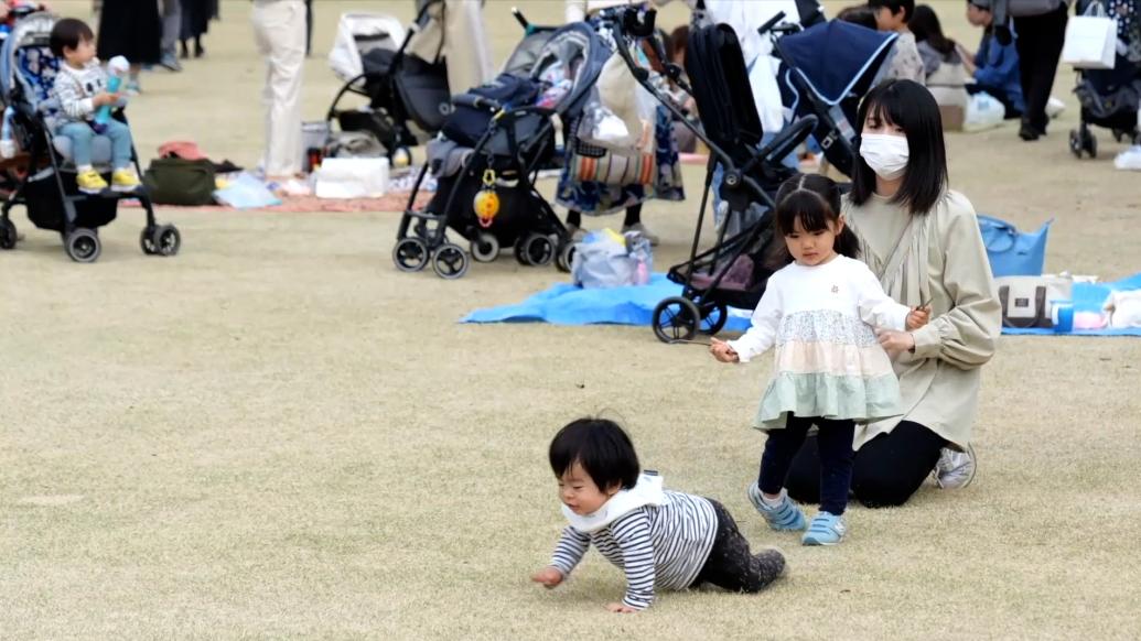 “一孕傻三年”？“健康中国”公号文章辟谣：孕育会使女性更聪明