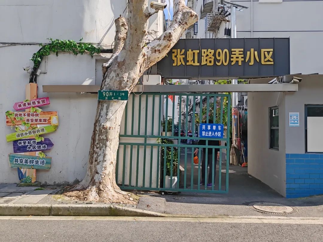 太好看了！上海长宁这条小弄堂变身“绿色小巷”