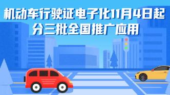 公安部：機(jī)動(dòng)車行駛證電子化明起分三批全國(guó)推廣應(yīng)用