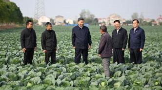 习近平在湖北考察调研