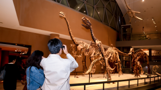 科普展、木偶劇、非遺體驗，上海自然博物館迎來“奇妙夜”