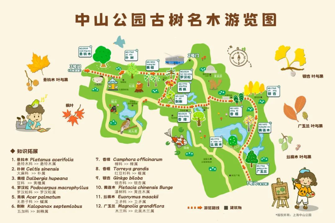 欧博平台首页登陆不了-上海中山公园竟有这么多的古树名木，这样欣赏更全面