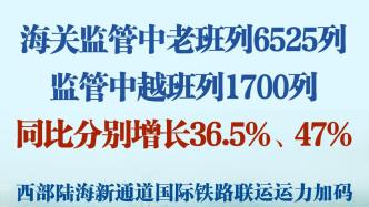 6525+1700列！西部陆海新通道国际铁路联运运力加码