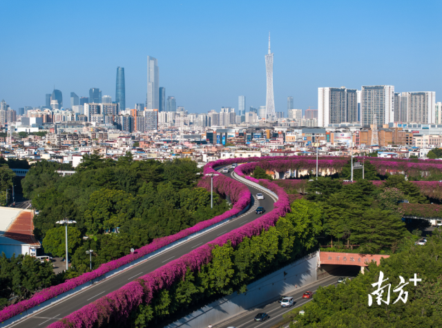 235天！广州正式打破最长夏天纪录