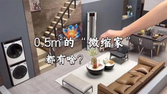 純手搓全網最小家？找三翼鳥一站定制還原大house