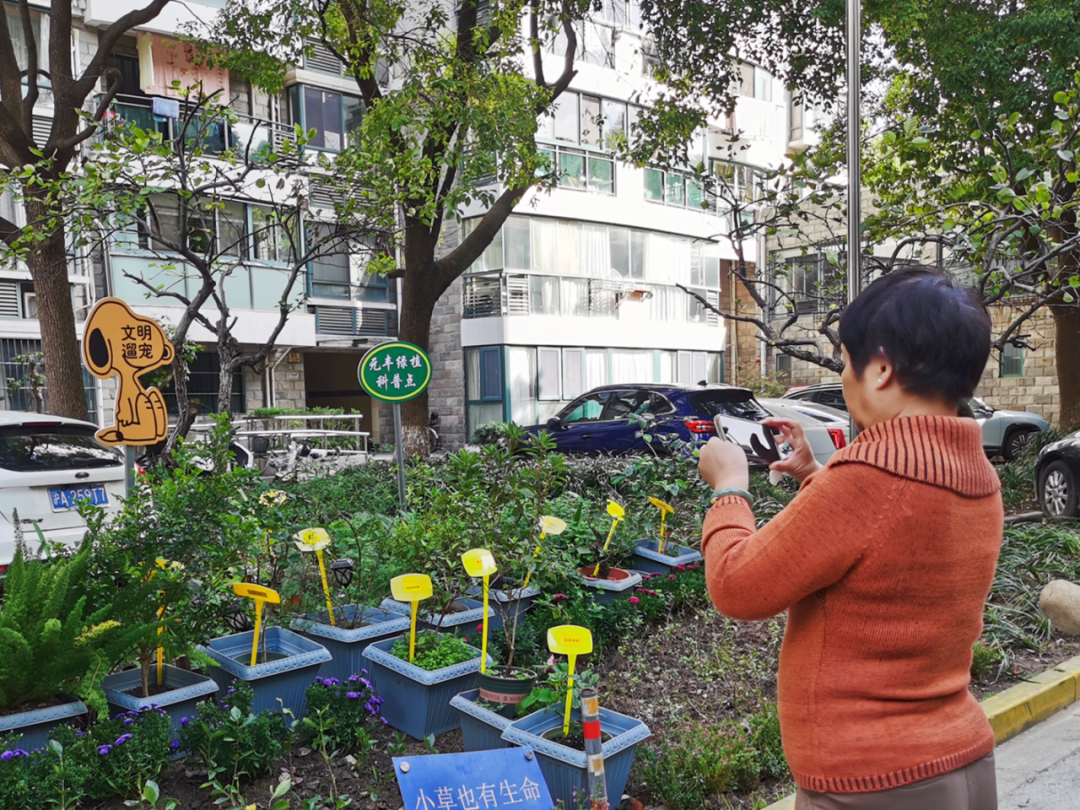 欧博盘网站登陆不进去-推动绿色自治项目“遍地开花”，上海北新泾这个“植物旅馆”再升级