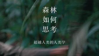 王茜評《森林如何思考》｜并不遙遠的魯納人