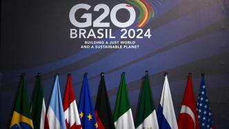 G20里约峰会丨这个世界如何变得更公正、更可持续？